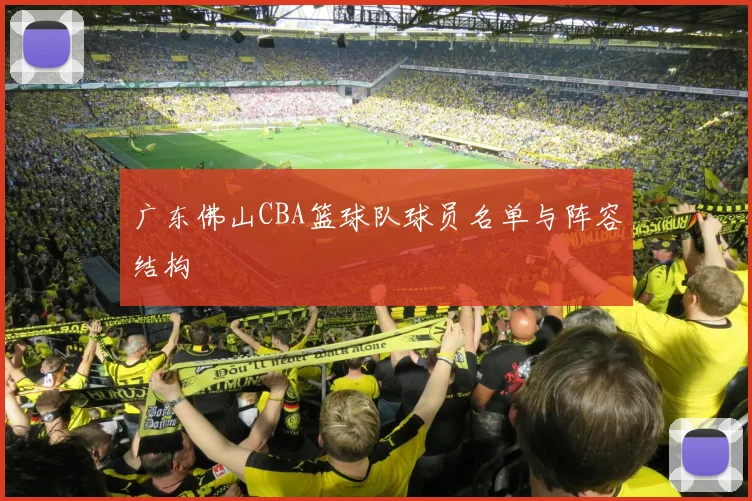 广东佛山CBA篮球队球员名单与阵容结构